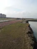 Фотография ЖК