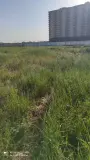 Фотография ЖК