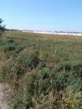 Фотография ЖК
